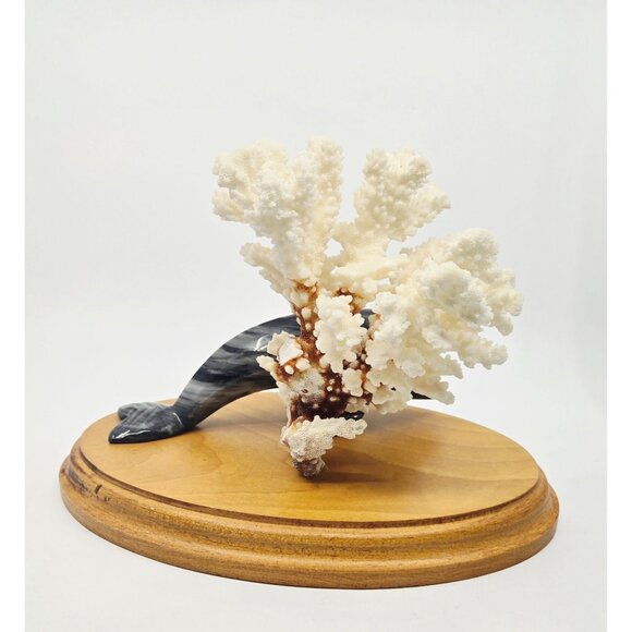 Black & White Marble Dolphin Figurine With Natural Coral Display On Wooden Base - Picture 4 of 11